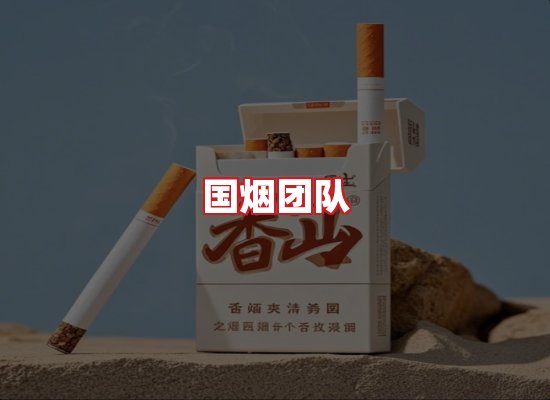 国烟团队